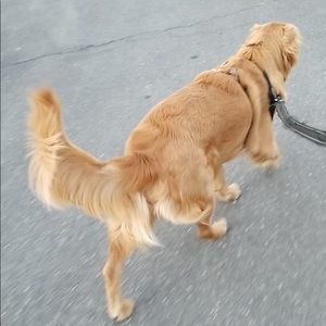 Meet your Posher, Circe